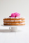 Omenavadelmakakku | Gluteeniton kakku | Vegaaninen täytekakku | Sokeriton leivonta