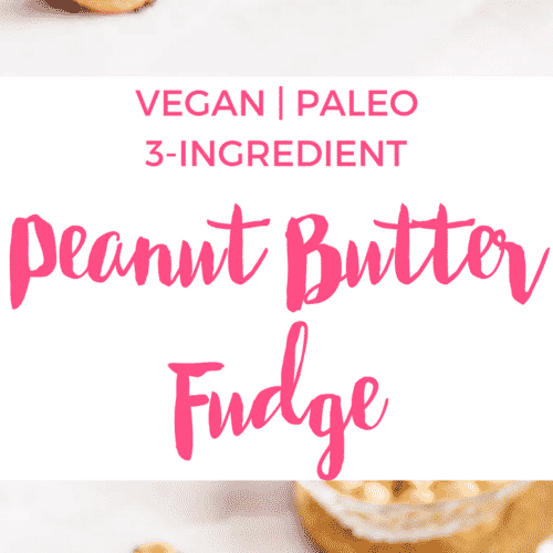 3-Ingredient Peanut Butter Fudge | Sugar-free | Vegan | Paleo | Healthy | Recipe